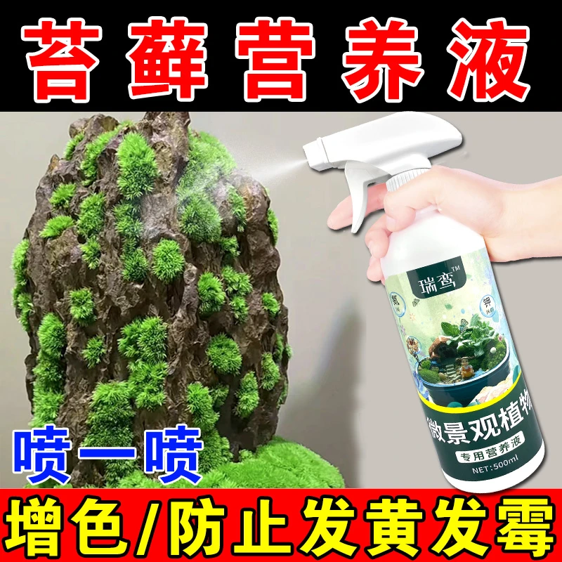 苔藓营养液青苔微景观植物生态瓶专用生根液急救干枯防发霉液体肥