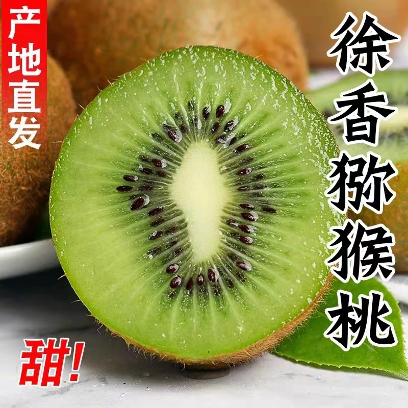2【放软食用】正宗陕西周至徐香猕猴桃 现摘现发 坏果包赔 香甜