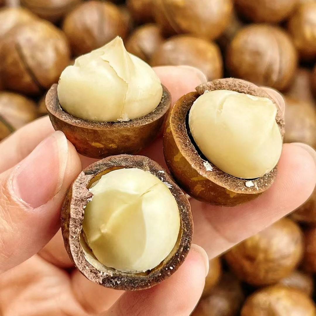 特大夏威夷果奶油原味干果干货香甜（新）