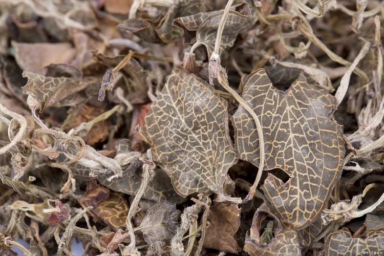 安波土特产～〈50克100克150克200克〉莲～妹香菇