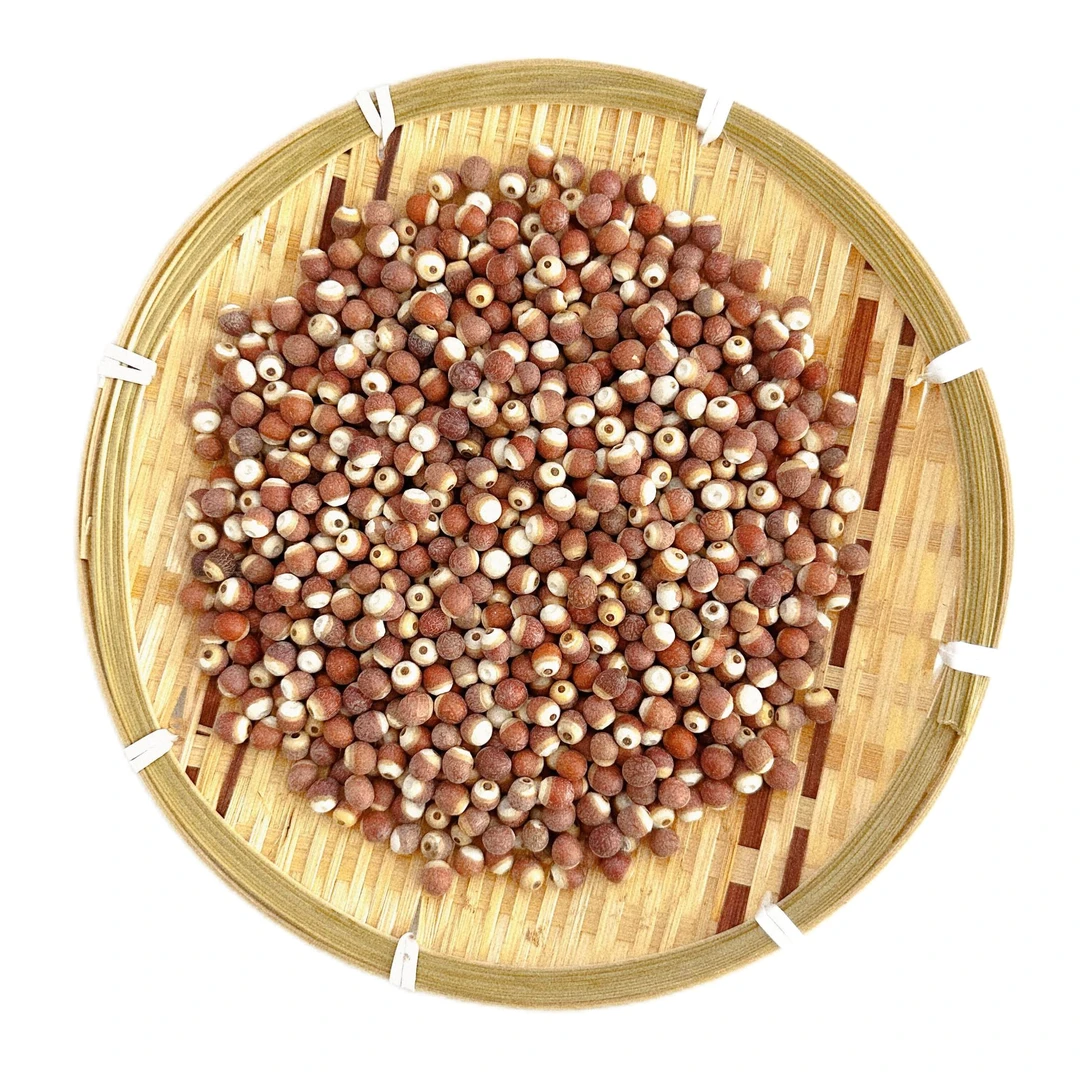 安波土特产   欠-实菇500g