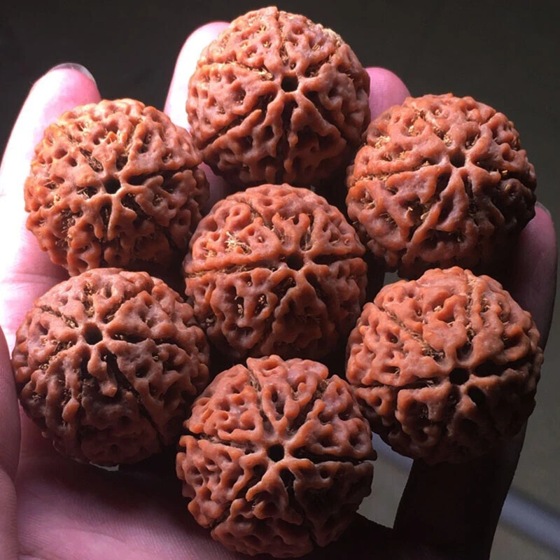 大金刚满肉沉水红皮爆肉6六7七8八9九瓣大金刚菩提子散籽手串配件