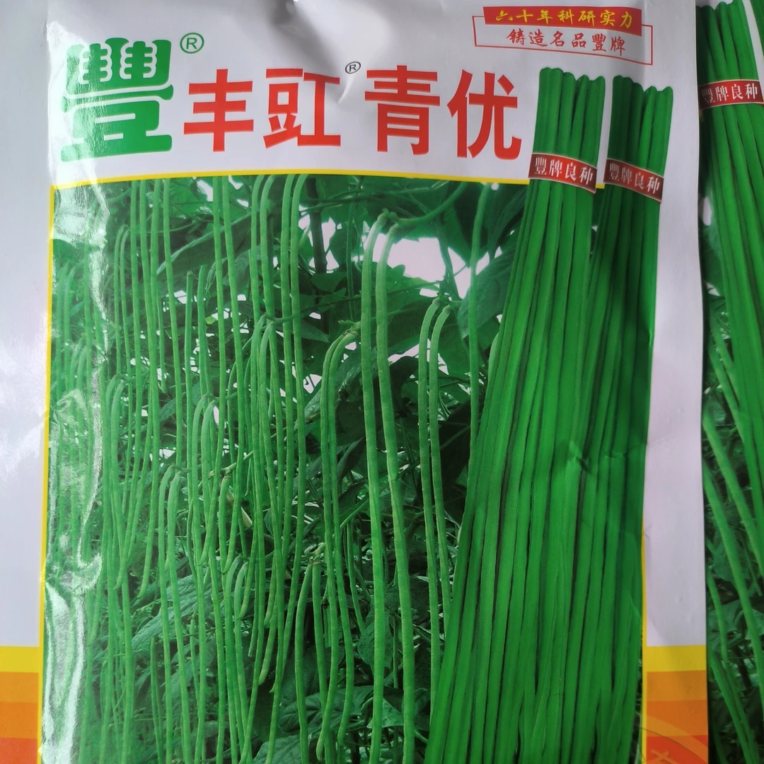 丰豇青优:长条豆角品种绿条耐老高产商品性好