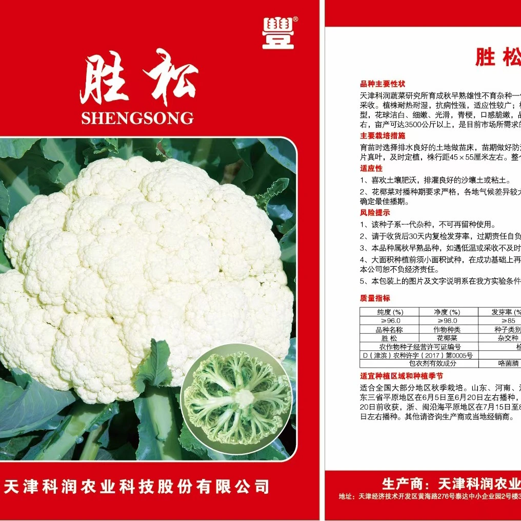 耐热松花菜种子胜松定植后60天左右上市天津农科院科润蔬菜所育种