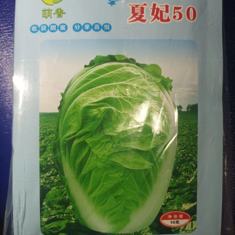 夏妃50耐热大白菜种子日本进口越夏栽培白菜耐热耐湿抗病早熟55天