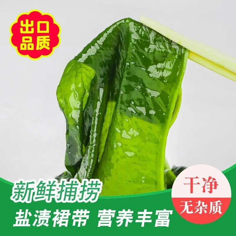 【太便宜了】盐渍裙带菜海藻海带鲜嫩凉拌麻辣烫火锅食材批新鲜美味