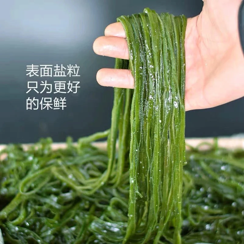 【无污染】盐渍海带丝新鲜农产品烹饪爽脆好吃鲜香凉拌煲汤火锅美味