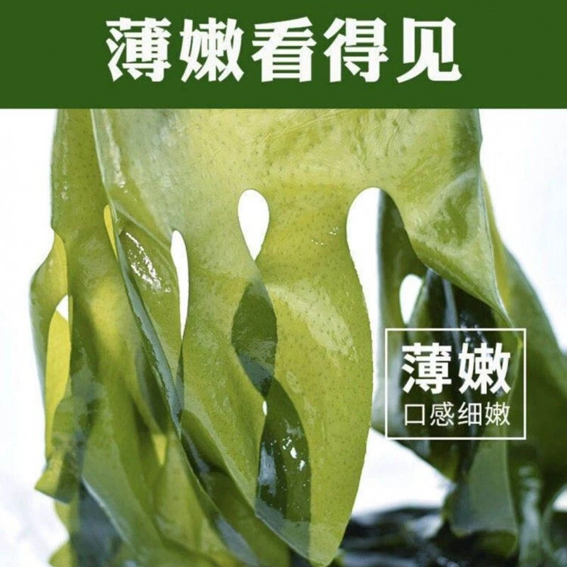 【无污染】盐渍裙带菜海白菜海藻菜海带裙带菜裙带菜汤裙带菜汤优选