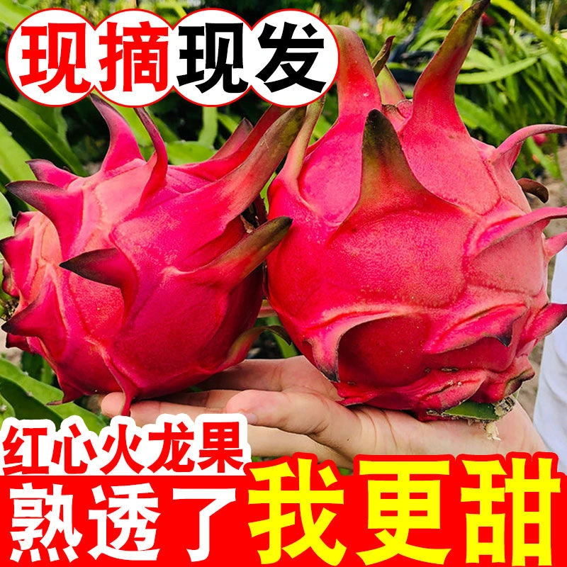 【当季水果】新鲜采摘红心火龙果新鲜现摘热带金都一号红肉密宝超甜