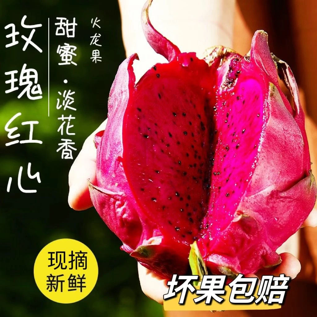 新鲜现摘红火龙果红心白心超甜应季新鲜水果包邮价3/5斤一箱装