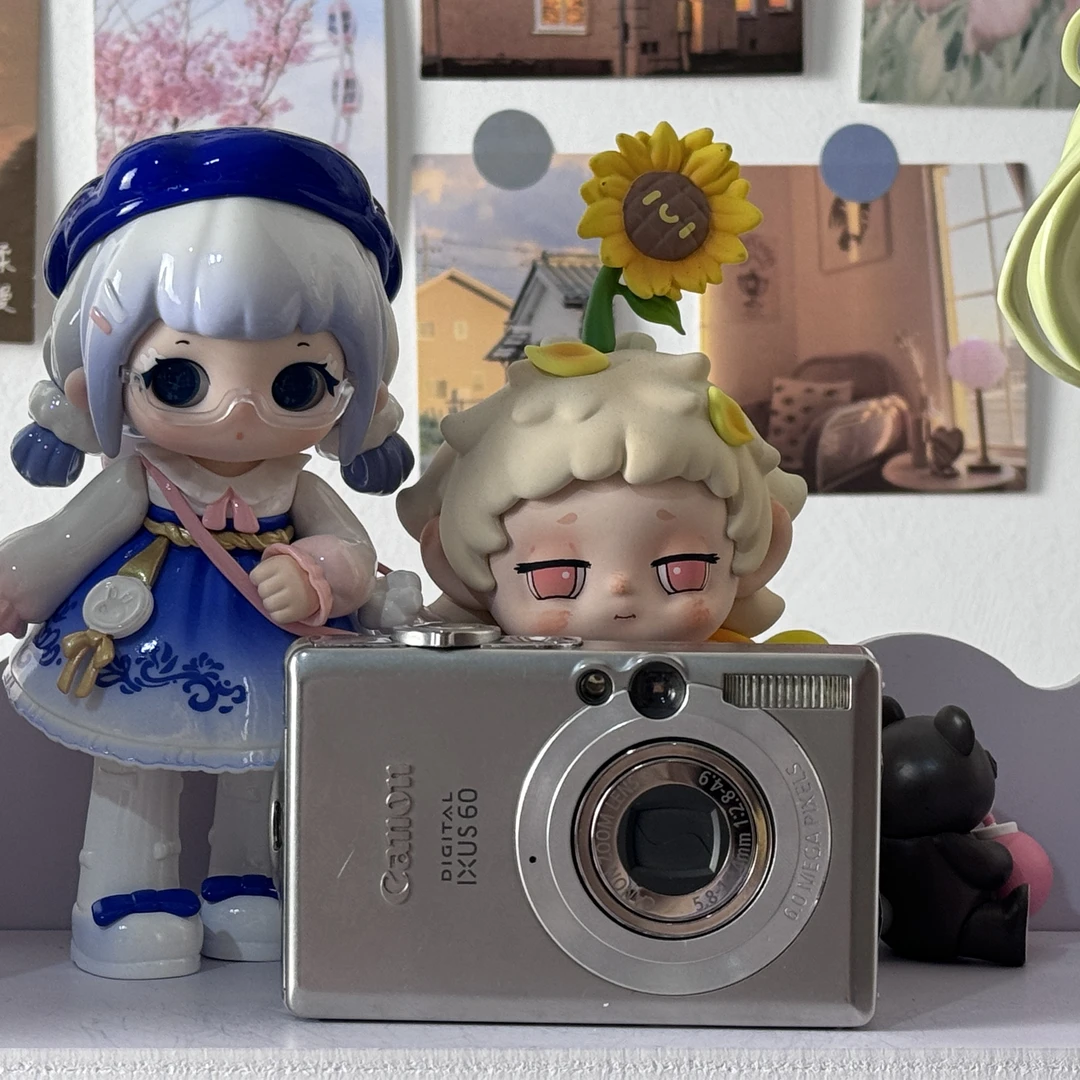 9新 Canon/佳能 十二数码 佳能IXUS60复古CCD包配件