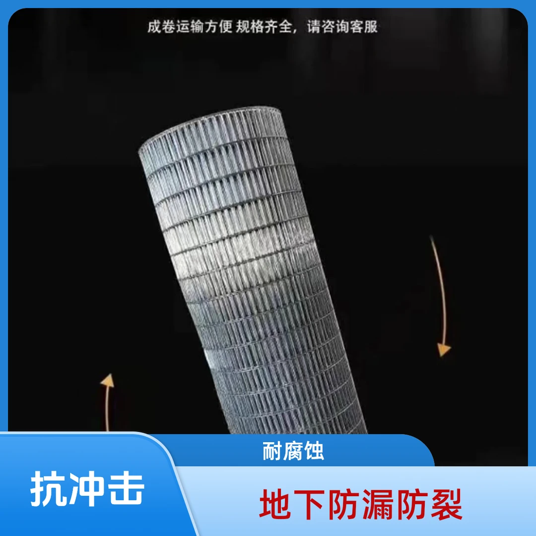 鸽舍定制鸟笼镀锌抗冲击低碳钢养殖电焊网成卷卷网20米长优质不锈