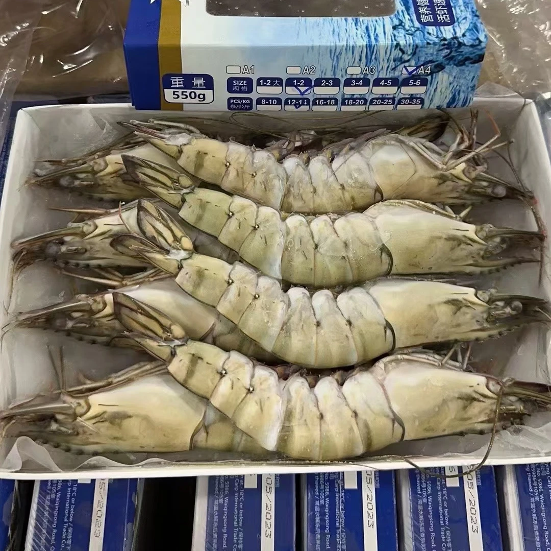 【精品货】原装原装货速冻黑虎虾单只速冻新鲜速冻老虎虾
