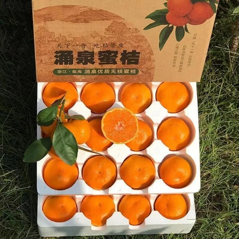 浙江台州正宗临海涌泉蜜桔薄皮无核无籽现摘现发高山种植无打蜡