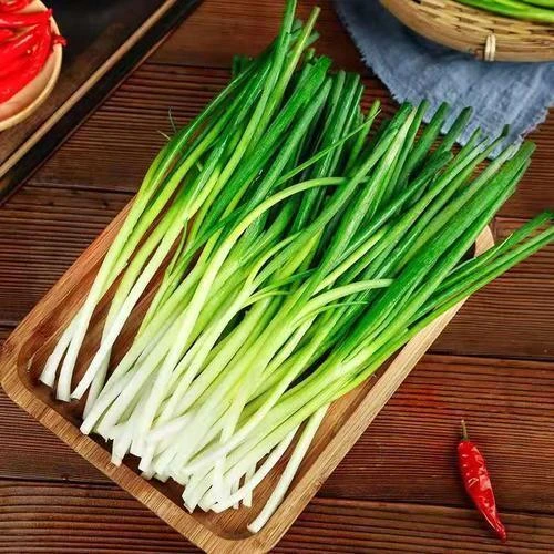 小葱（直播专属）