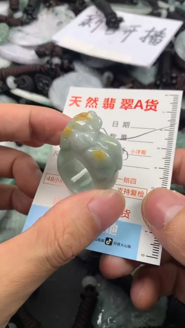 【闪购商品】翡翠颈饰未镶嵌1