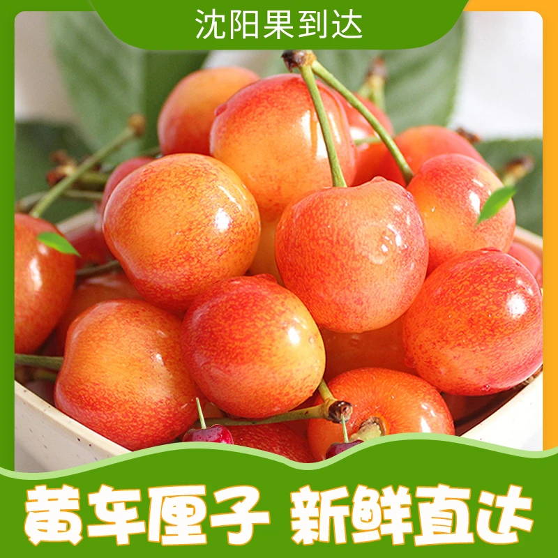 【坏果包赔】智利雷尼尔黄车3J一箱2/4斤