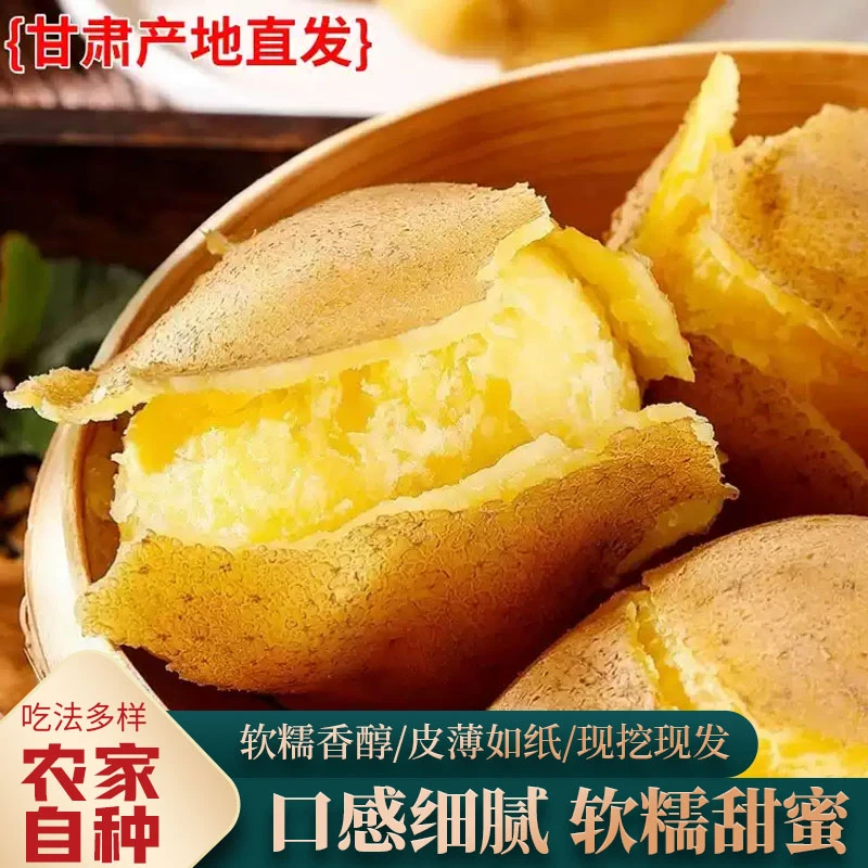 甘肃定西临洮干面洋芋沙土豆新鲜营养直发饱满种植高原黄心土豆