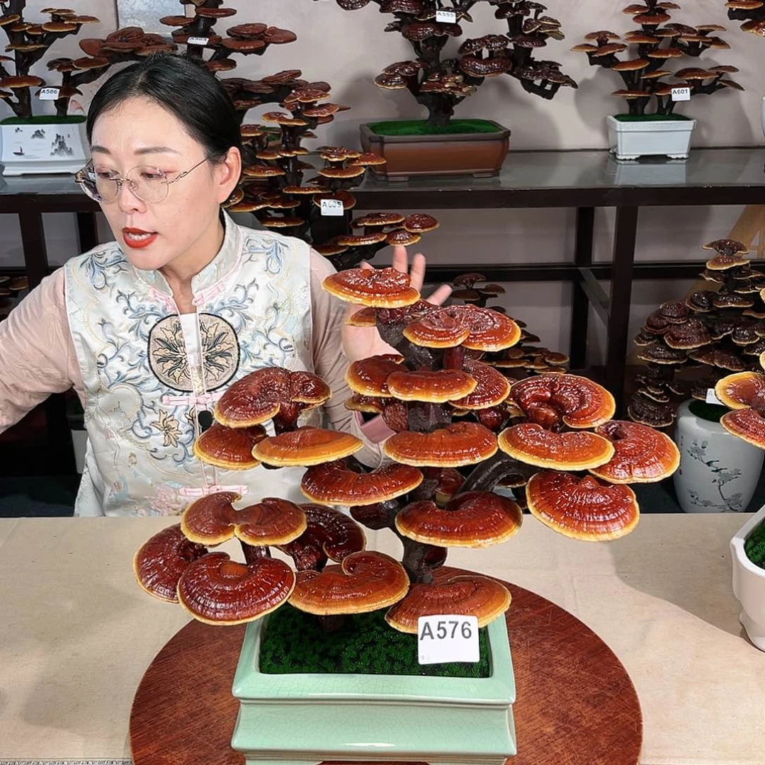 万事如意8888888888888888
