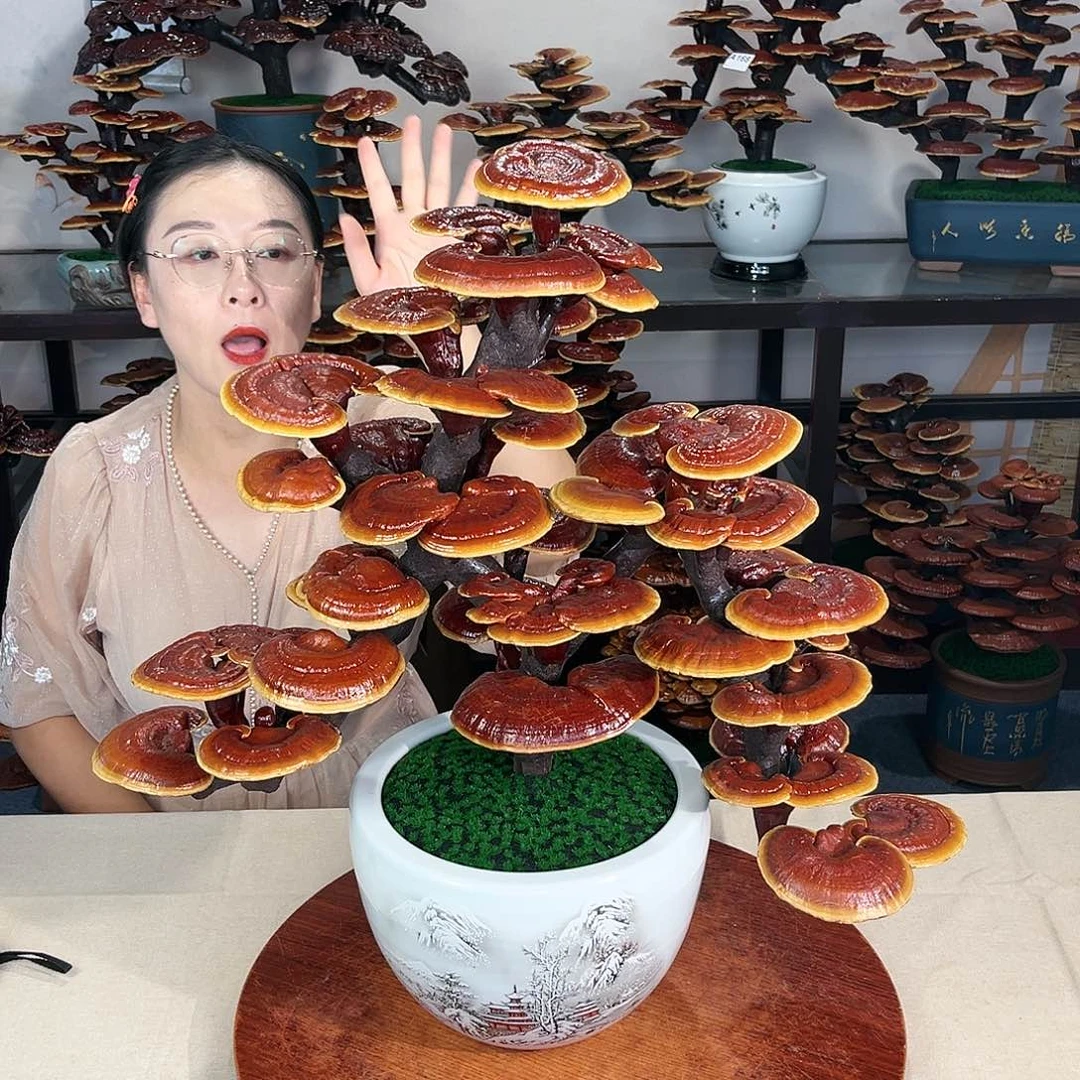 万事如意88888888888