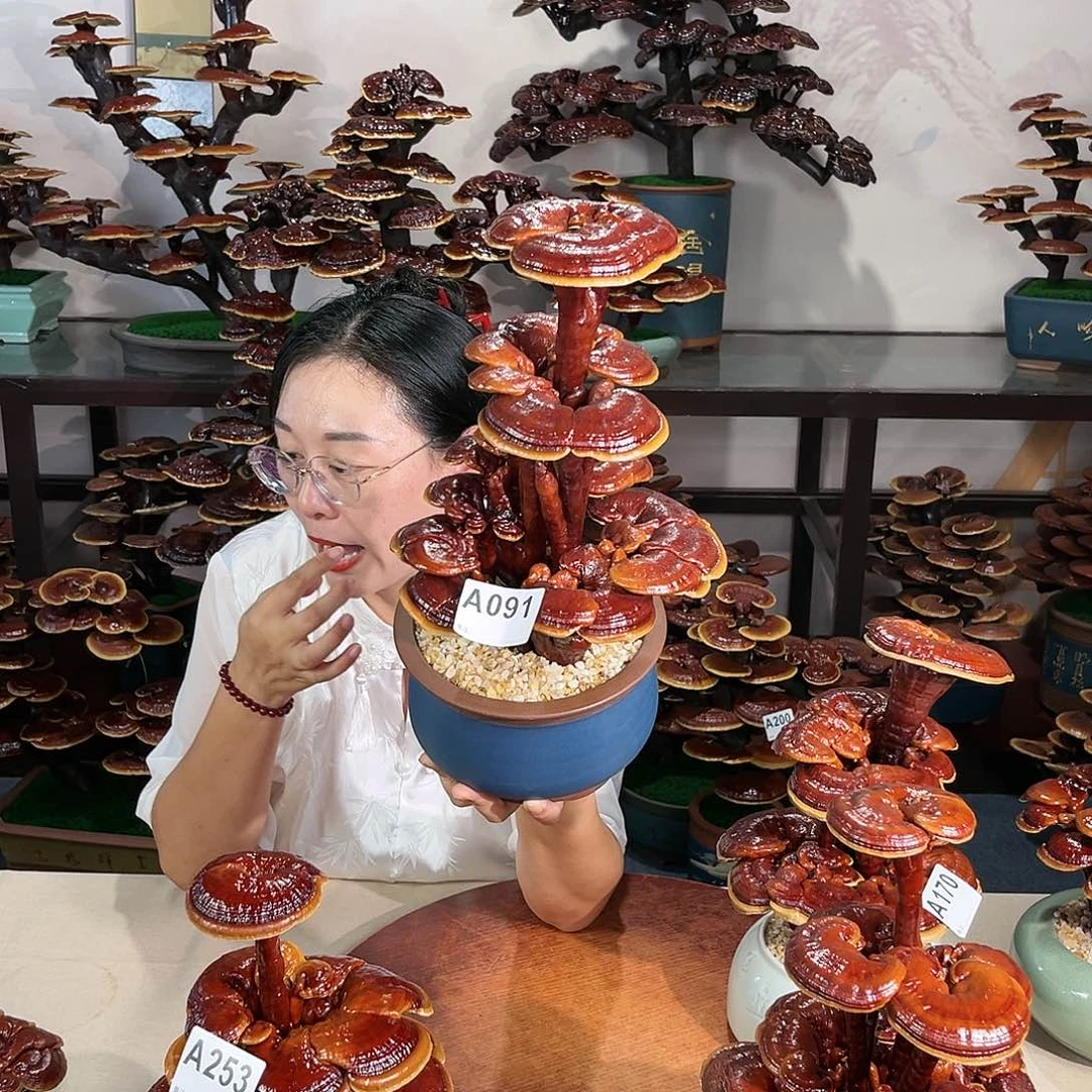 万事如意888888888888