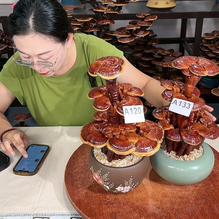 丽****）万事如意8888888888