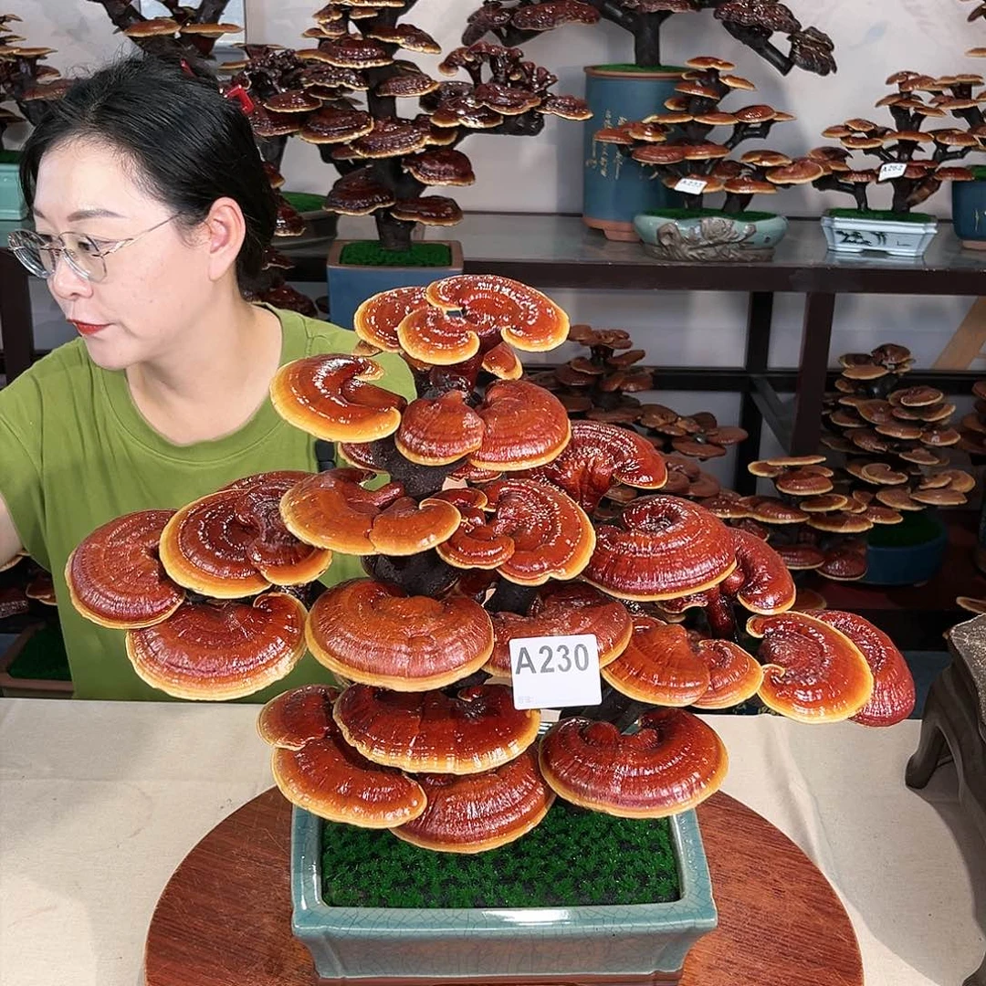 万事如意888888888888
