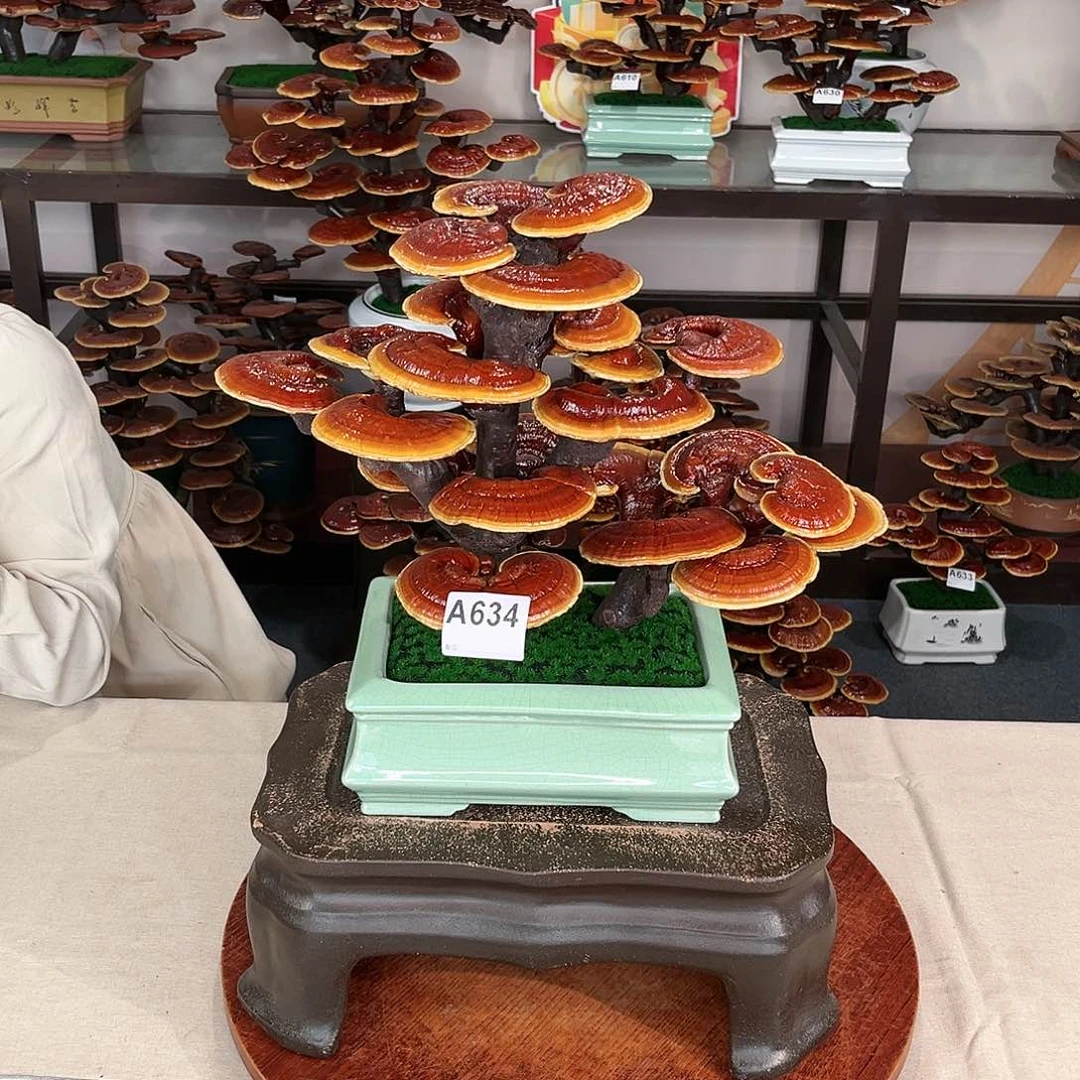 万事如意888888888888888