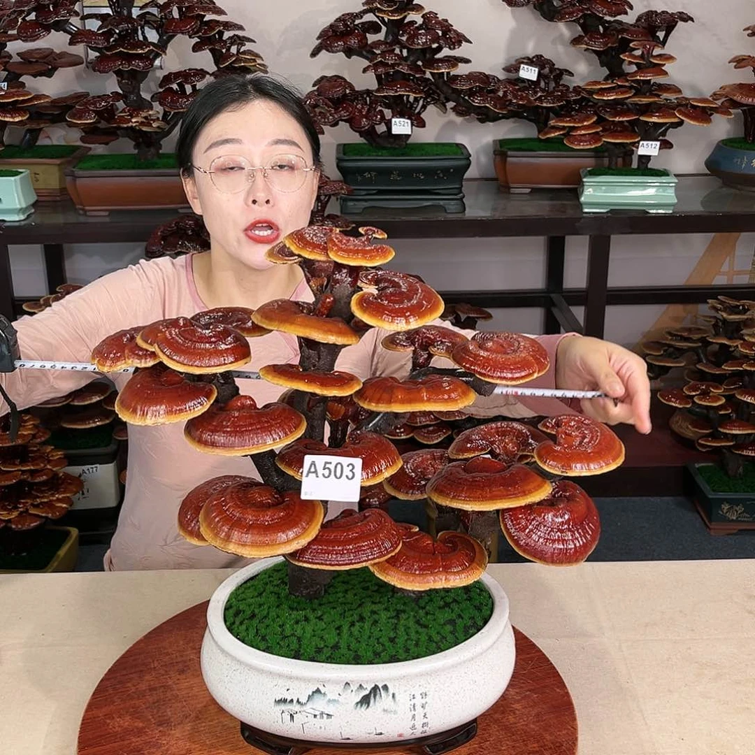 万事如意88888888888888