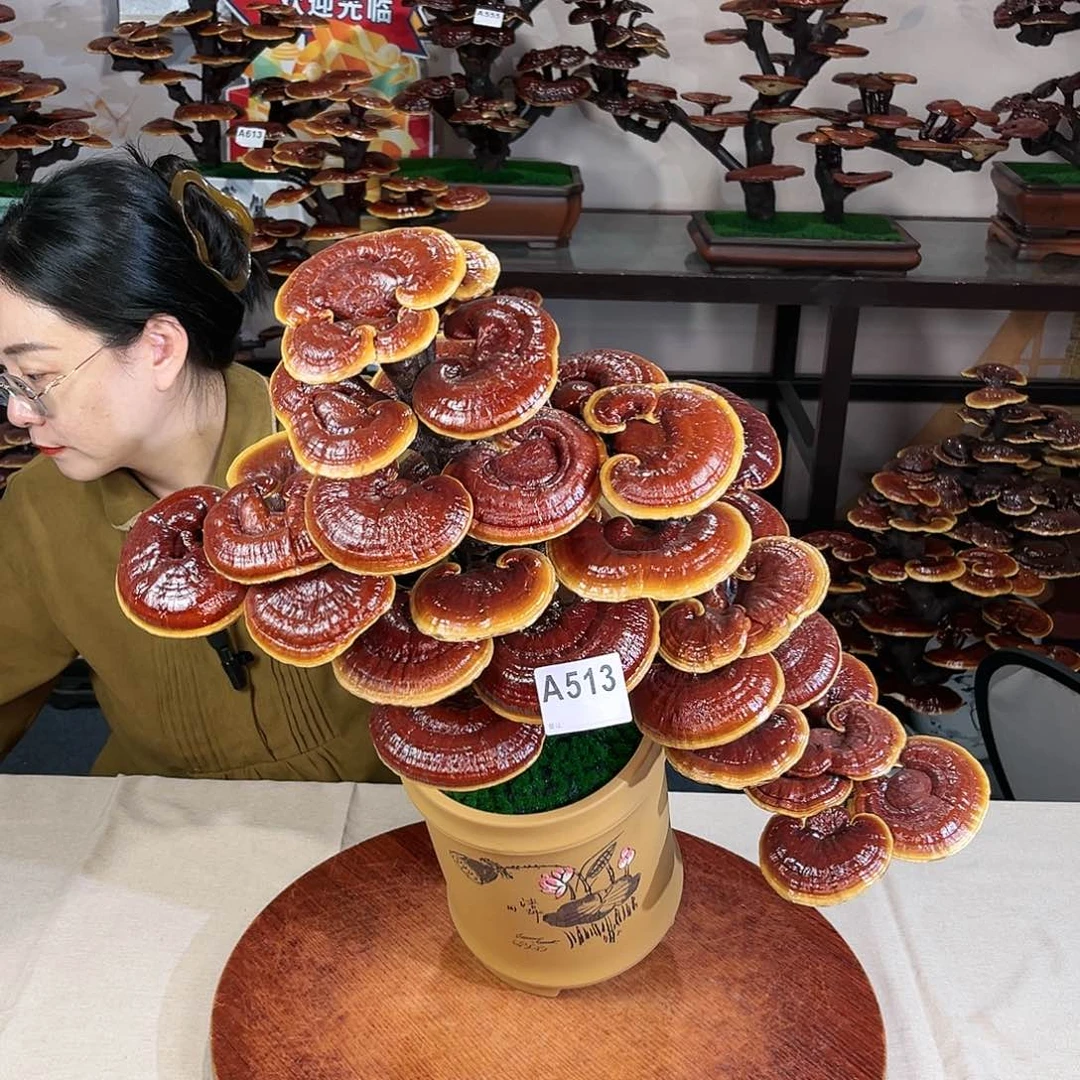 万事如意8888888888888