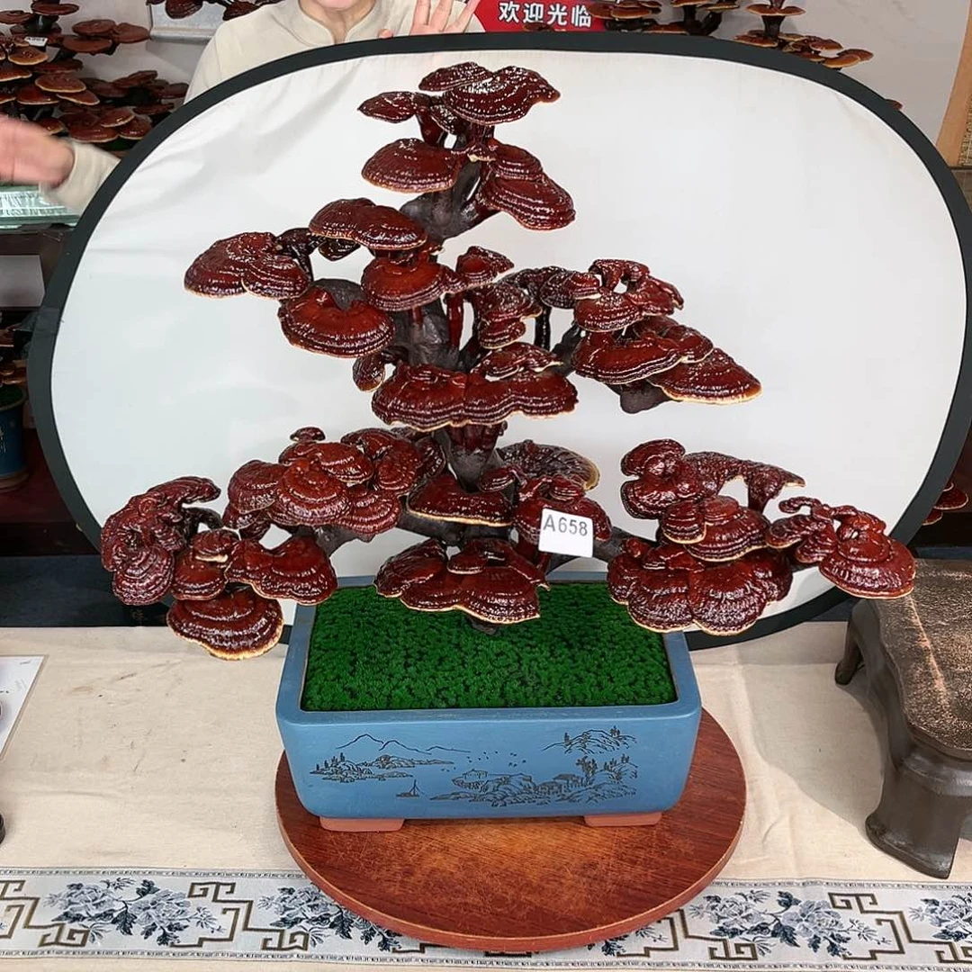万事如意88888888888888