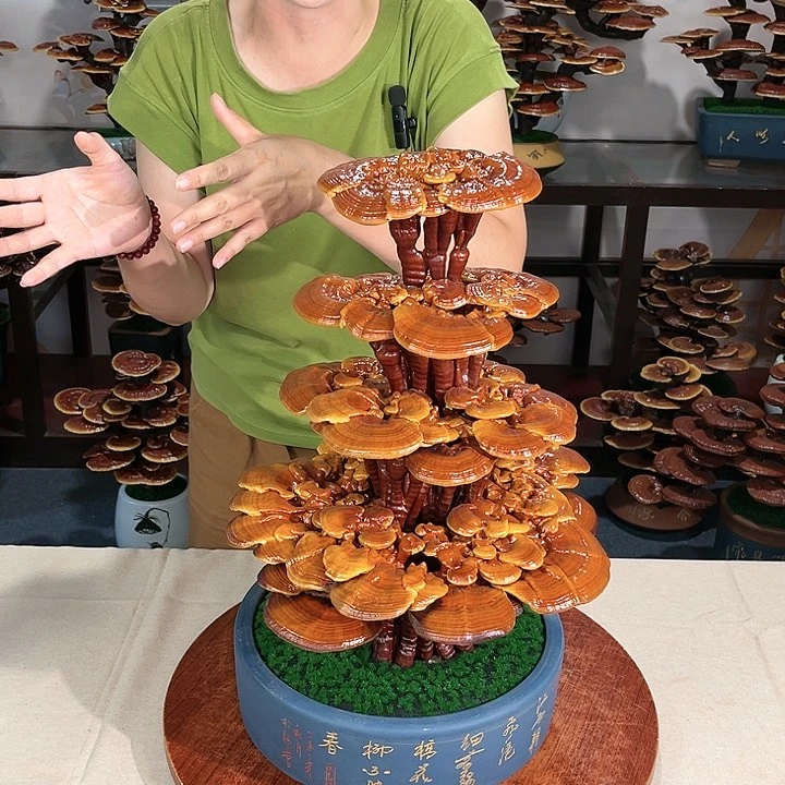 万事如意8888888888888