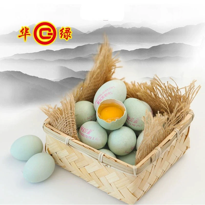 华绿华绿神蛋 天然绿壳蛋 营养 富硒蛋 安全健康 无腥味 绿色
