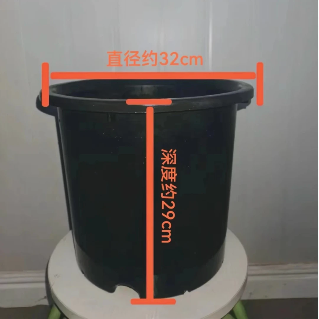 塑料控根花盆大盆耐用结实阳台（6加仑口径32cm，7加仑口径36cm）