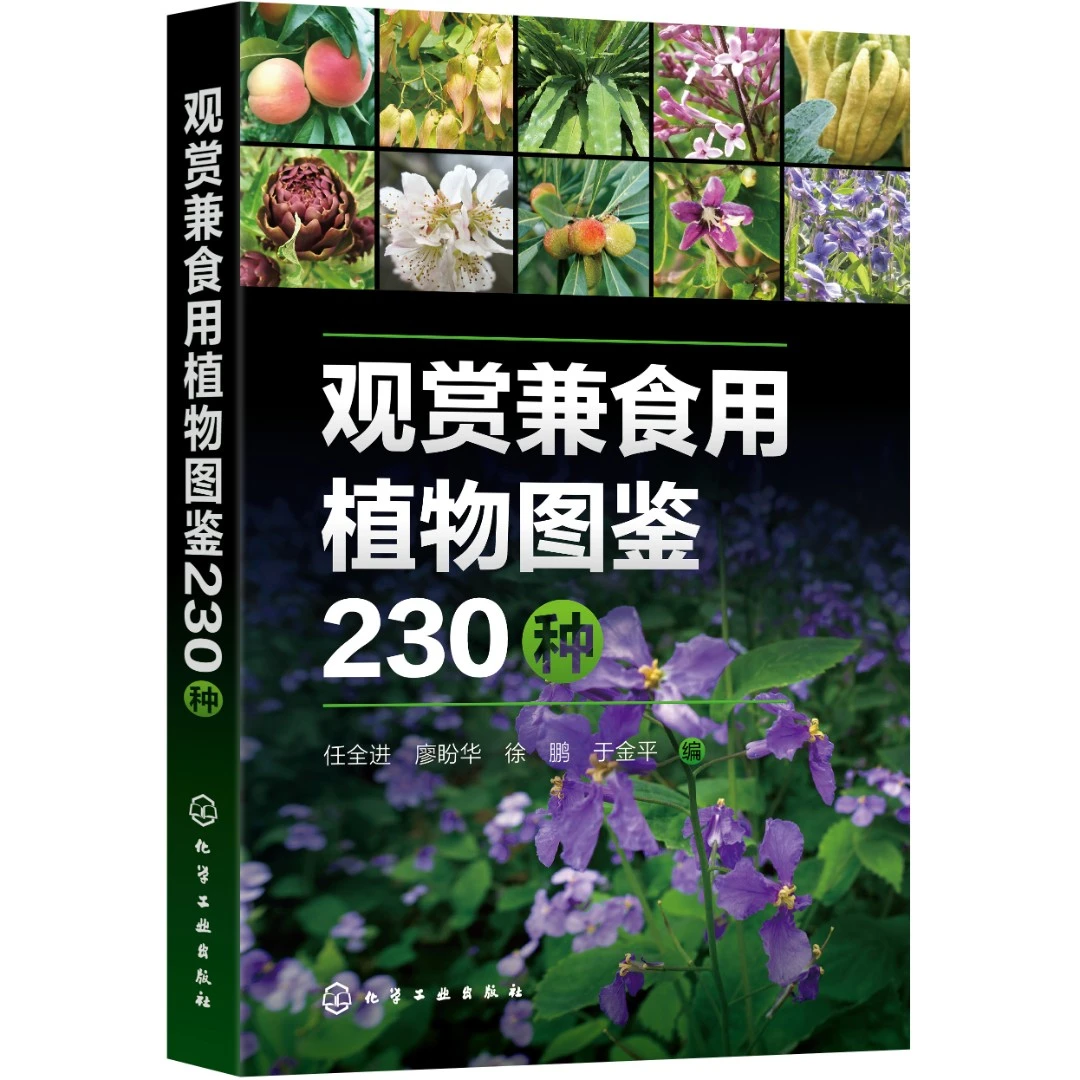 观赏兼食用植物图鉴230种