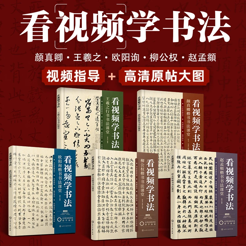 看视频学书法系列