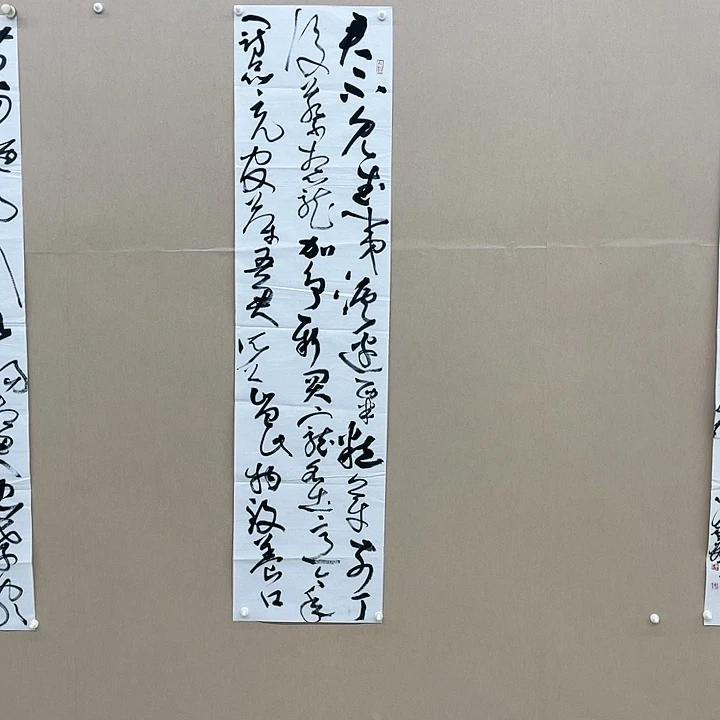 书法张剑锋138*34㎝福建LS