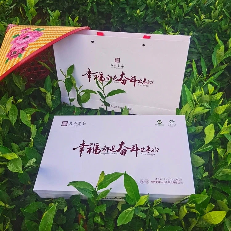 乌山贡茶-幸福毛尖（半斤装）