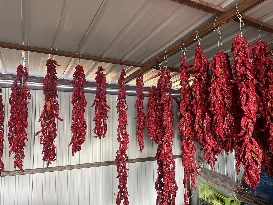 东北农家小菜园辣妹子干辣椒 农家种植半斤