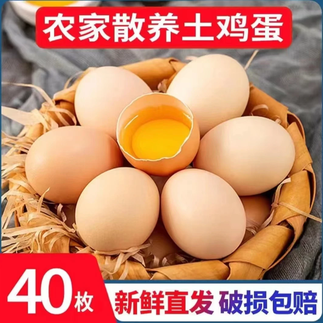 【宝哥生态专属】高山放养土鸡蛋 40枚 净重1600g 新鲜发货