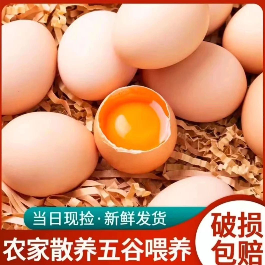 【桃园】放养土鸡蛋 40枚 新鲜发货