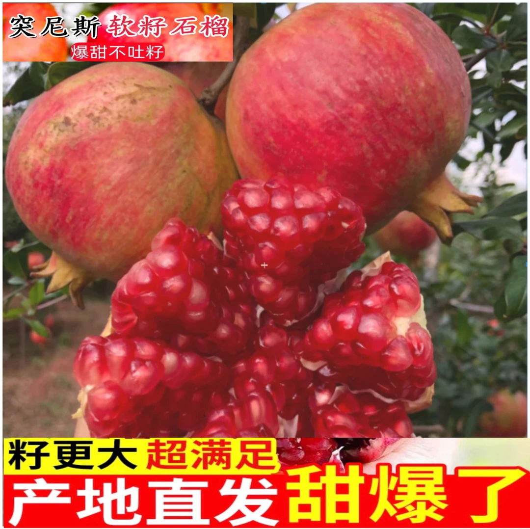 Q四川会理突尼斯软籽石榴新鲜应季水果皮薄多汁整箱包邮