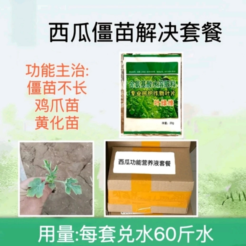 大小苗 鸡爪苗 黄苗 僵苗 氨糖功能营养液 叶面肥增产丰收