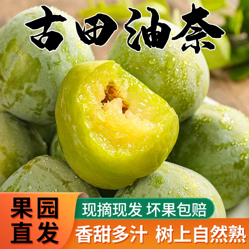 福建古田油奈李桃形李青耐柰李脱骨大李子孕妇应季新鲜水果包邮