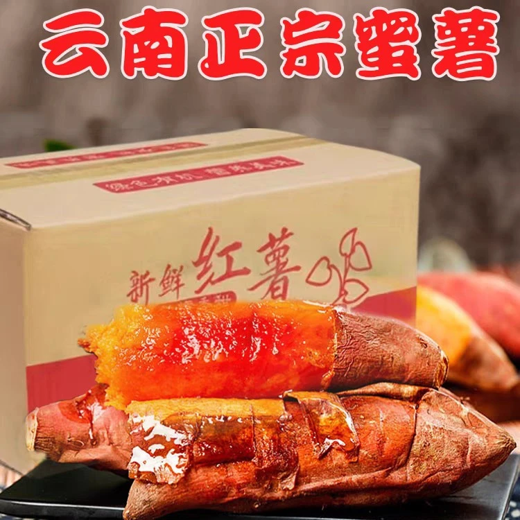 云南沙地西瓜红薯现挖地瓜黄心番薯自种红苕山芋应季蔬菜5斤包邮