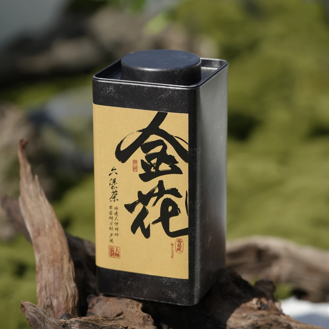 [学茶严选]2021年金花六堡茶-100g/500g*盒