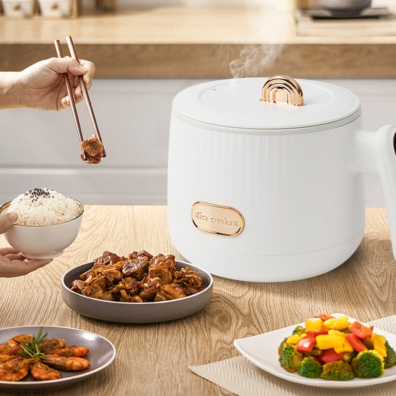 德国mini小电饭煲一2人3人家用多功能1.8L升智能煮饭小型迷你