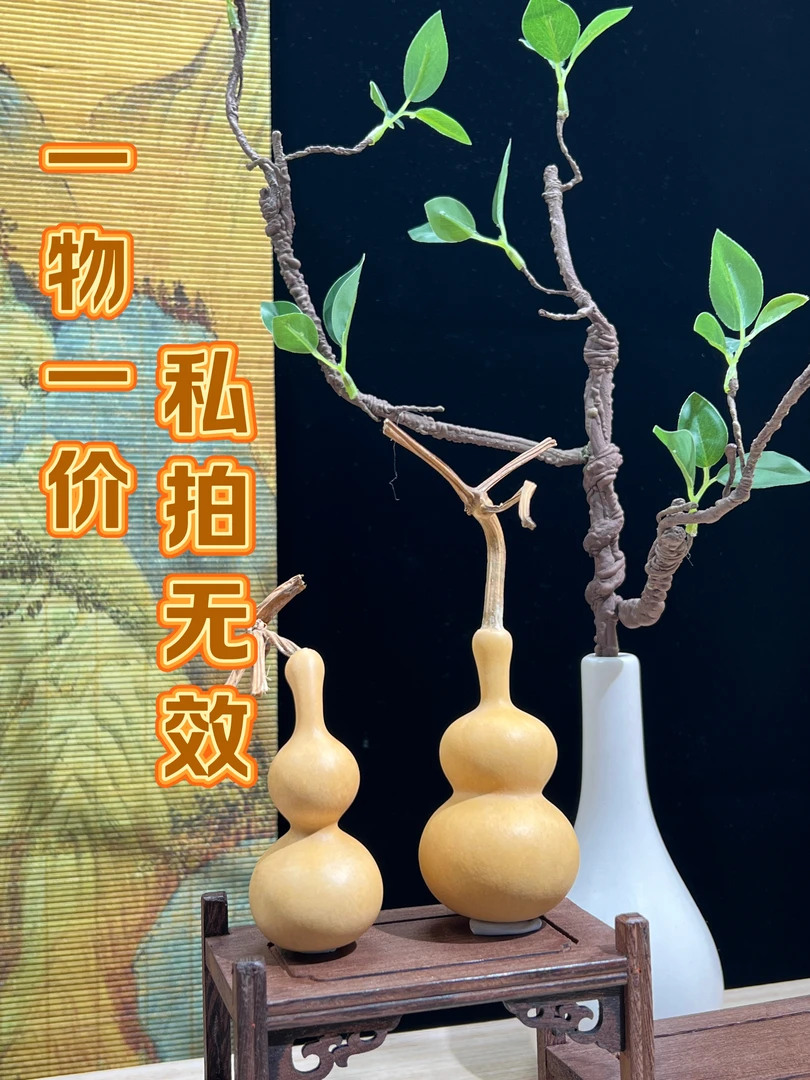 【直播专属】随机一把小葫芦多样性发货