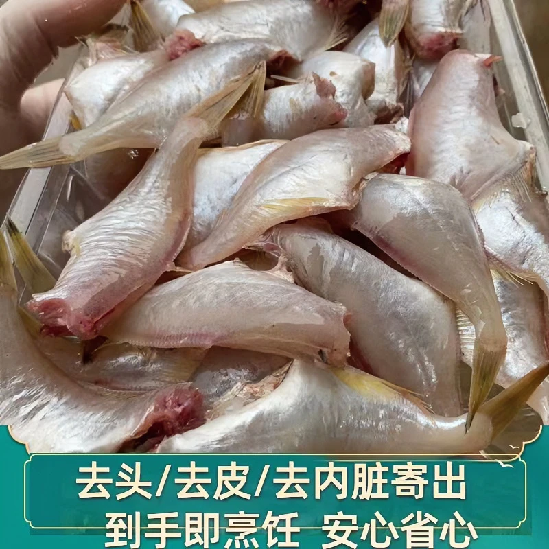 阳江本地渔民新鲜剥皮鱼2斤   俊旭水产新鲜洋鱼仔剥皮牛海鱼