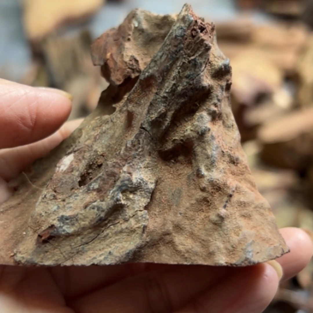 【闪购商品】黄花梨/降香黄檀A****S定制链接不退不换